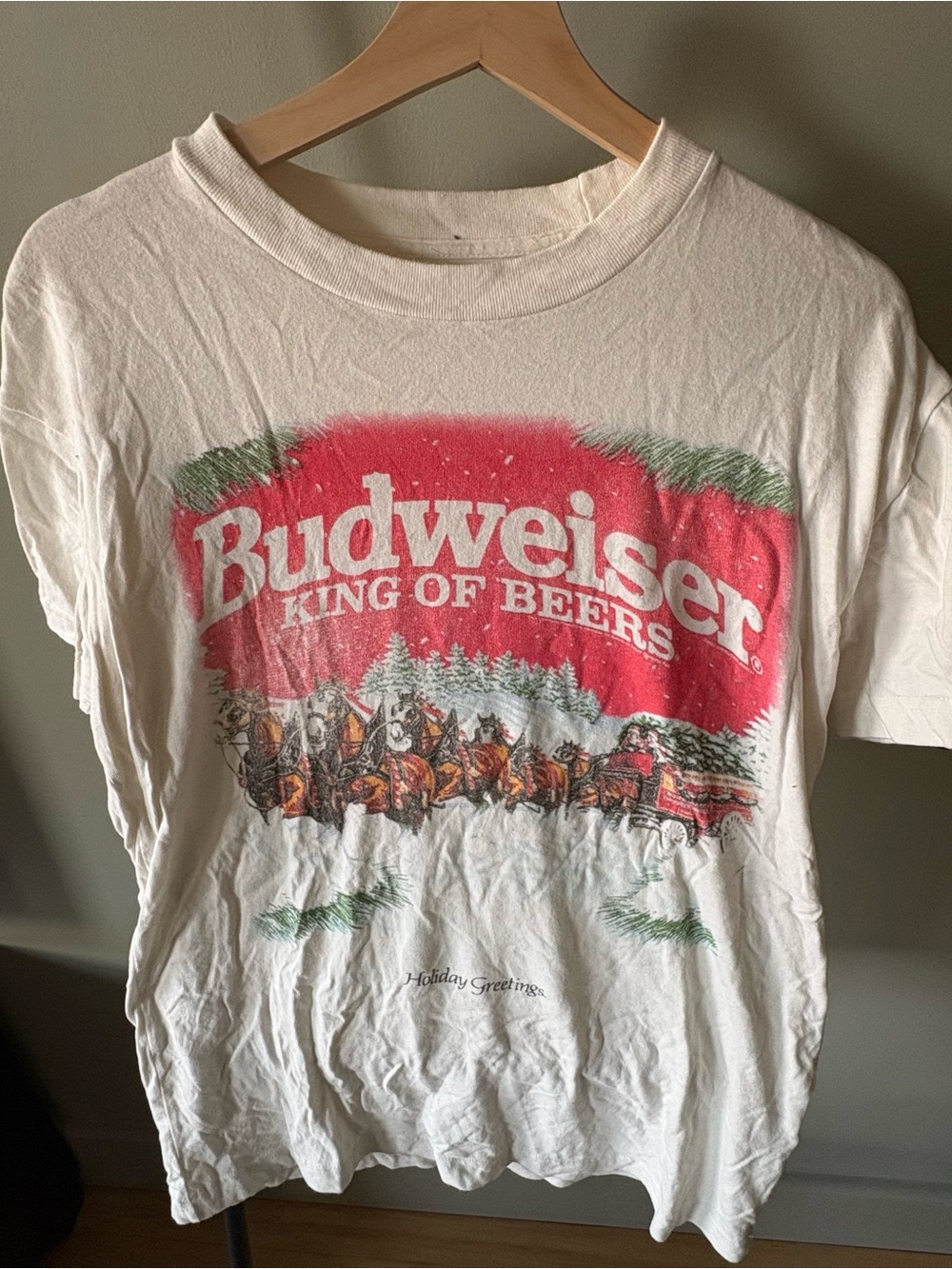 Abercrombie & Fitch White Short Sleeve Tee with Red and Green Graphic
